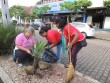 Os canteiros da Pereira Rego tamb�m recebem os cuidados da primeira Dama Gabriela Butzge