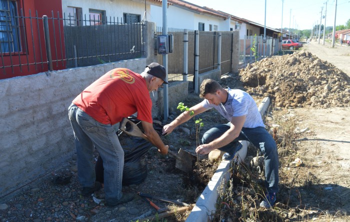 Plantio de �rvores e limpeza nas Unidades Habitacionais do Ewaldo Prass