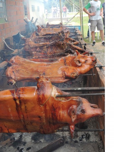 6� Festival do Porco no Rolete Hospitalidade e qualidade da culin�ria