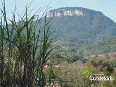 Dia do Meio Ambiente