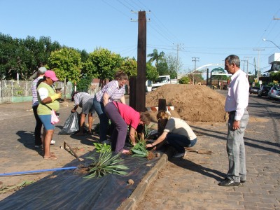 O Embelezamento dos Canteiros em Candel�ria continua