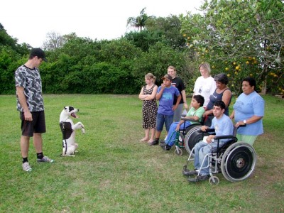 C�es estimulam aprendizado de alunos da Christiano Graeff