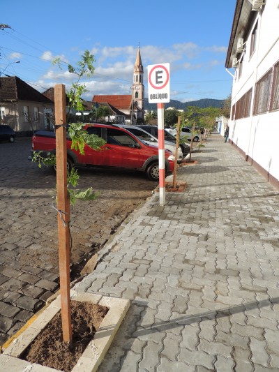 Prefeitura iniciou plantio de �rvores adequadas na cidade
