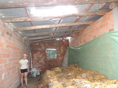 Temporal causa preju�zos em Linha Palmeira