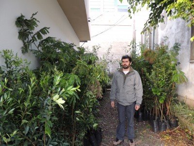 Meio ambiente recebe mudas para replante